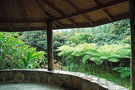 View of the lower garden form the gazebo