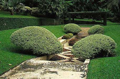 Sunken garden found in the formal garden